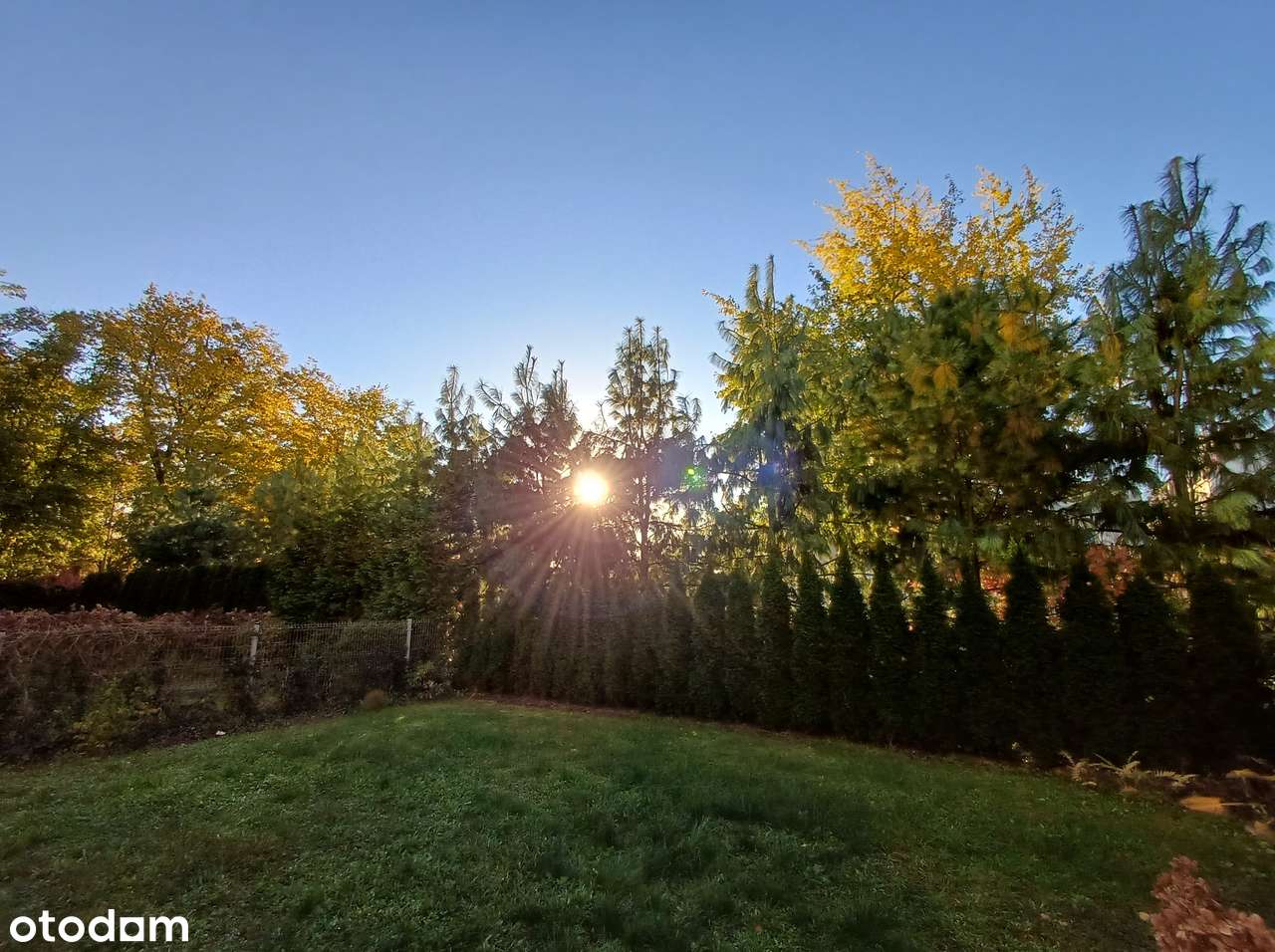 Oliwa Park - komfortowe i zaciszne 4 pok., kominek, ogród, 2 m. w hali - Pełny obrazek: 4/20