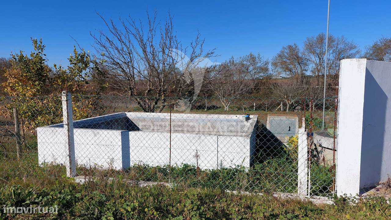 Terreno Agrícola - São Brissos , Beja - Grande imagem: 4/16