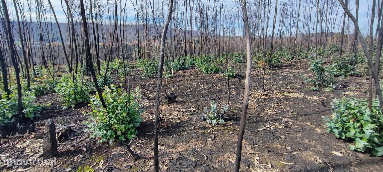 Terreno  Venda em Melres e Medas,Gondomar-5