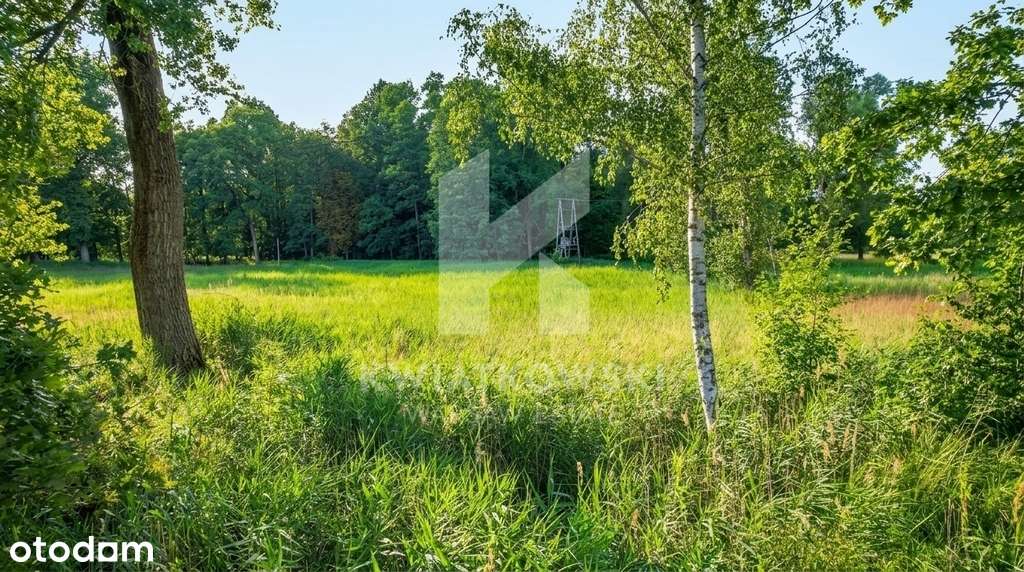 Wiązowna | Las | Świder | Działka budowlana 1248m²-5