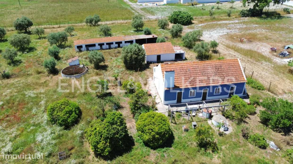 Quinta para Renovar em Grândola - Grande imagem: 3/11