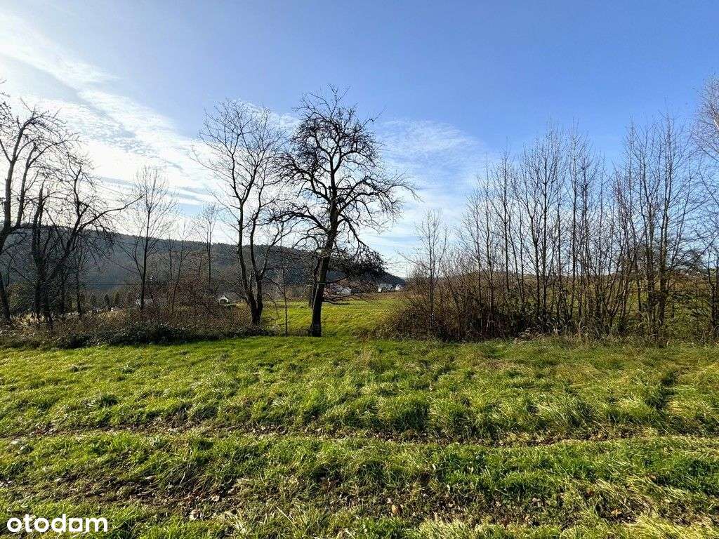 Działka na sprzedaż - Pełny obrazek: 5/6