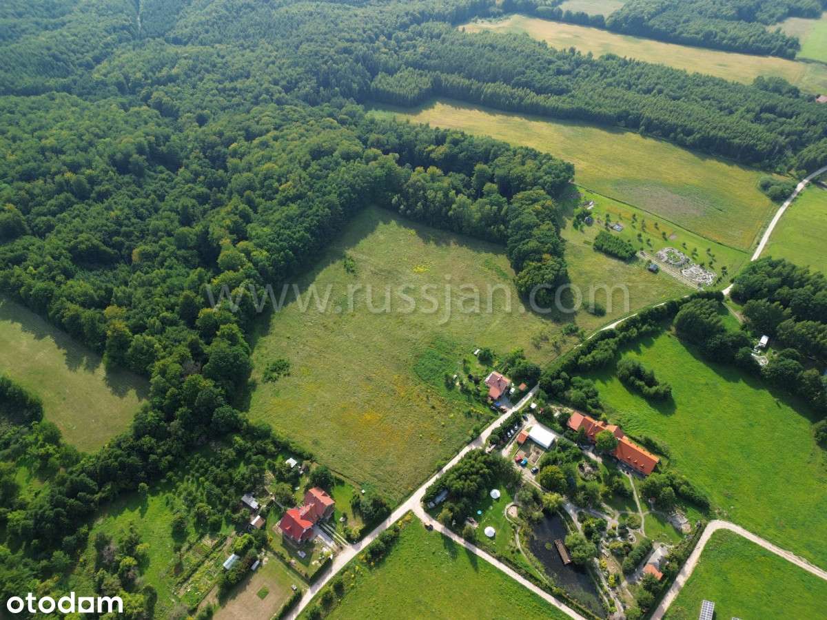 Działka z przeznaczeniem mieszkalno-usługowym - Pełny obrazek: 4/7