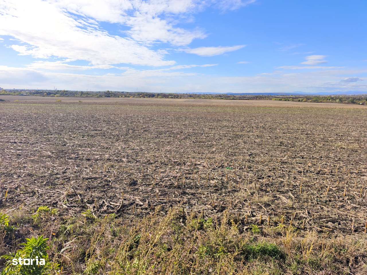 ROANDY - Teren cu potential excelnt de investitie-Bucov-Bighilin-2