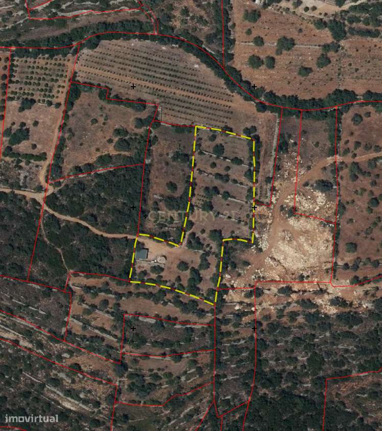 230.000€ Conjunto de 3 terrenos rústicos - Barranco de S. Miguel - Grande imagem: 4/12