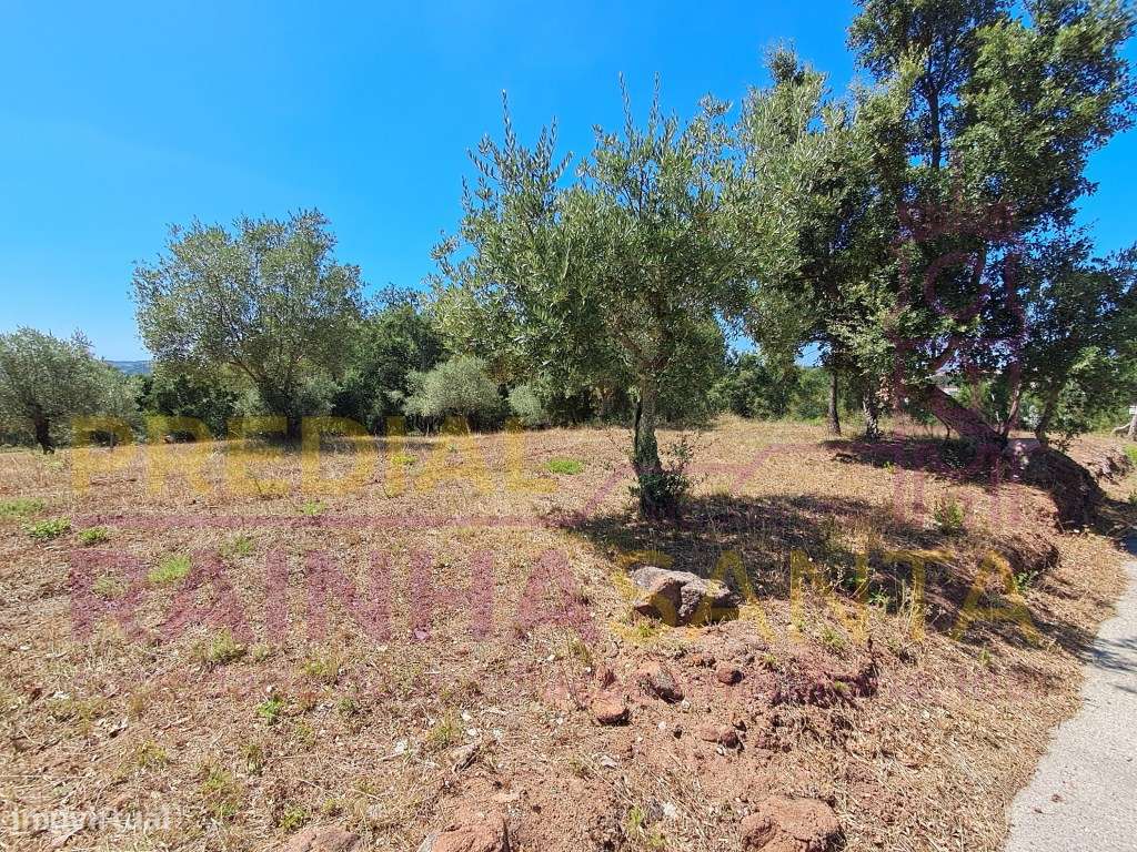 Terreno em zona Urbana para venda - Brasfemes - Grande imagem: 2/9