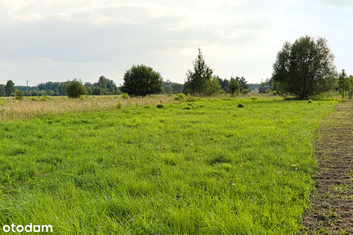 Działka, 1 054 m², Olchówka-6