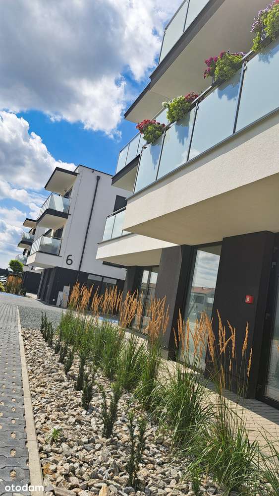 NA WYNAJEM- lokal handlowo-usł. | Z5_U3 | Trener personalny - Pełny obrazek: 3/17