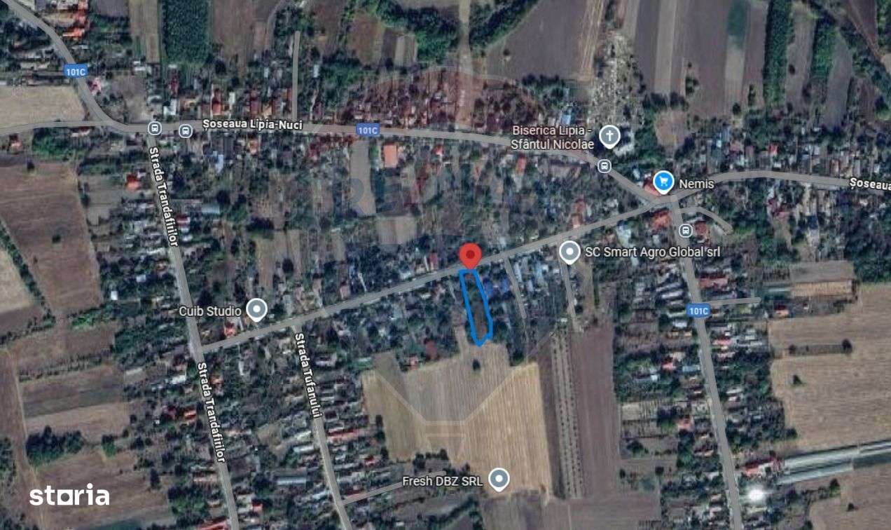 Teren 5482 mp Gruiu / Strada Matei Basarab - Imagine principală: 3/4