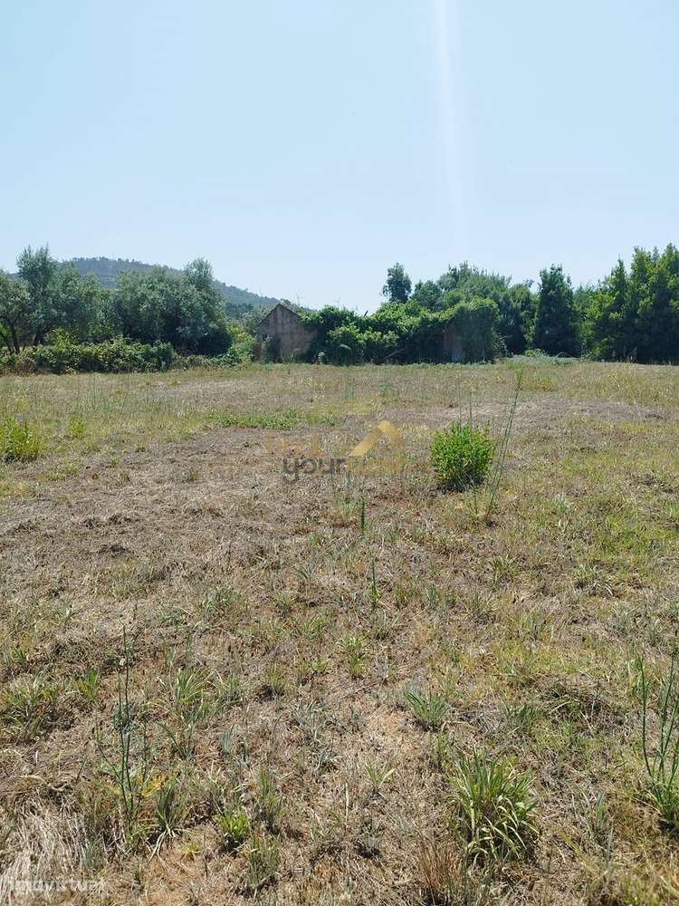 Terreno Urbano com 2.608m² em Moleanos-7