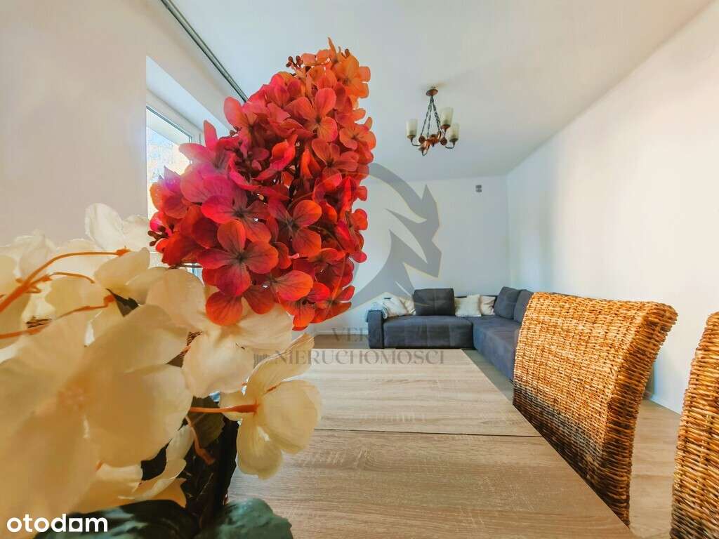 Tajemnica ukrytego Salonu - Pełny obrazek: 2/20