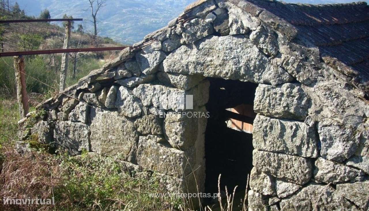 Venda Terreno, Gestaçô, Baião - Grande imagem: 4/10
