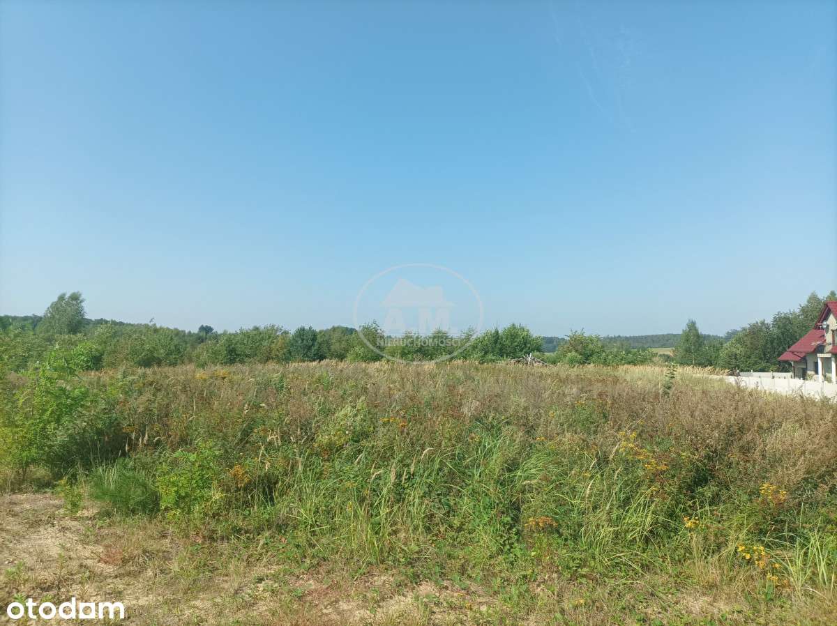 Słoneczna działka na wzgórzu Idealna pod budowę - Pełny obrazek: 5/7