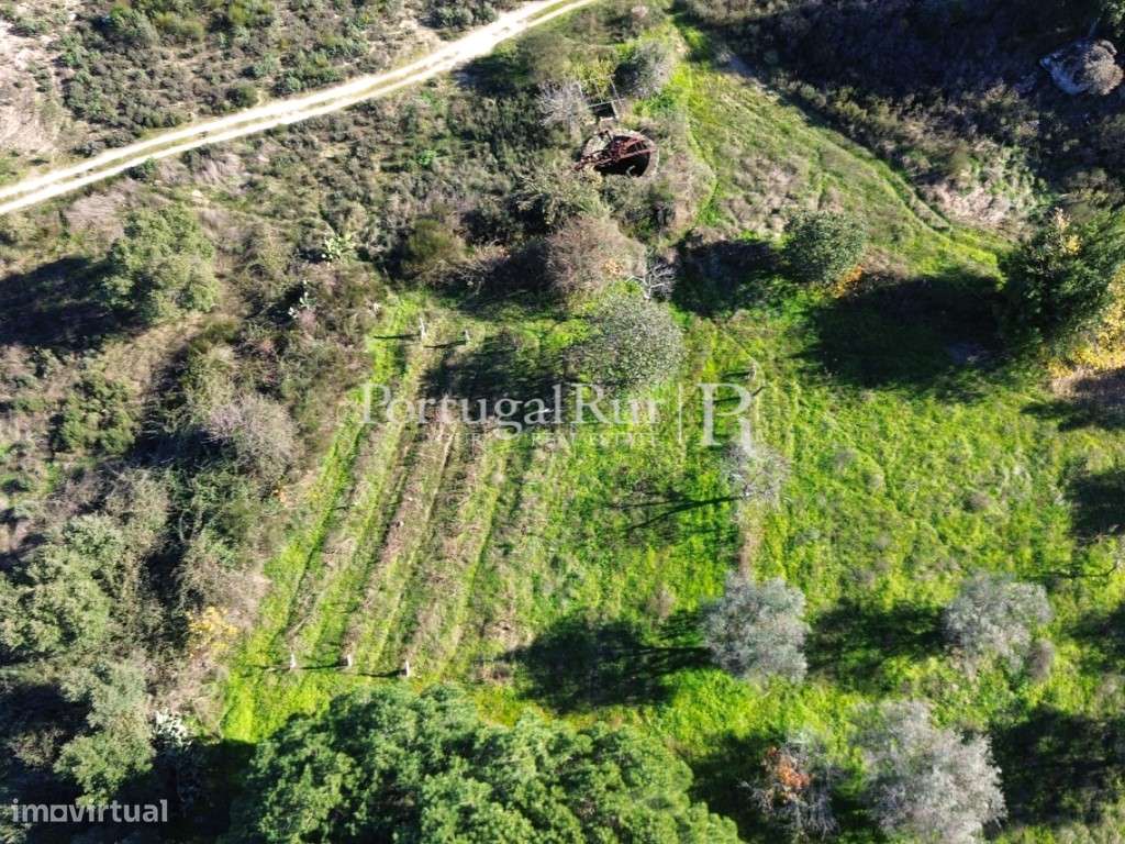 Terreno rústico em Monsanto - Grande imagem: 3/17