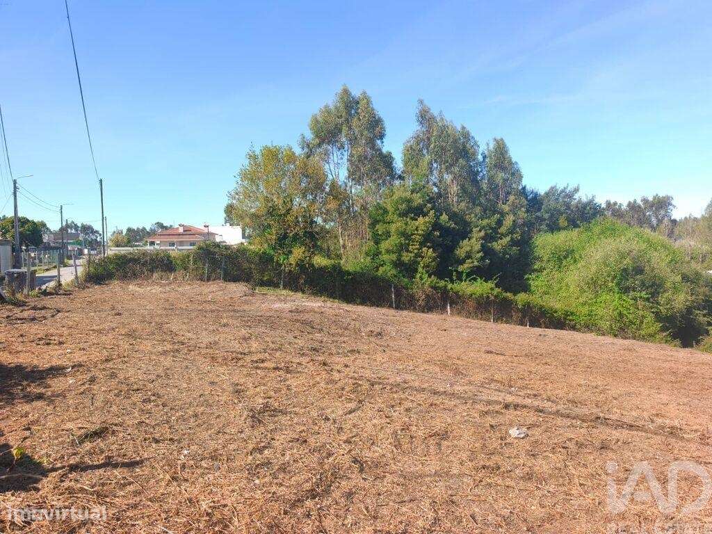 Terreno em Ovar, São João, Arada e São Vicente de Pereira Jusã de 1405 - Grande imagem: 5/8