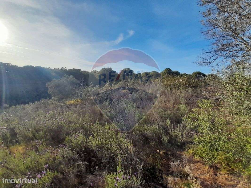 Terreno  para venda - Grande imagem: 5/7