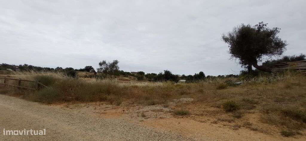 Venda Quinta/Herdade - Grande imagem: 5/6