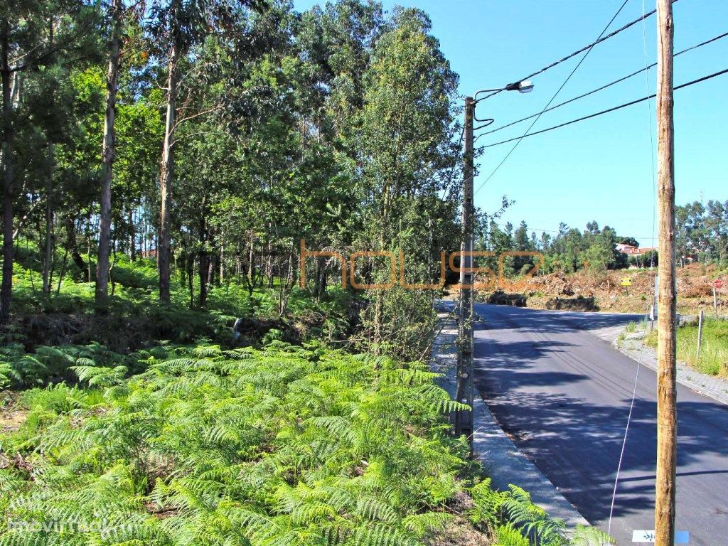 Terreno para construção - Sanguedo