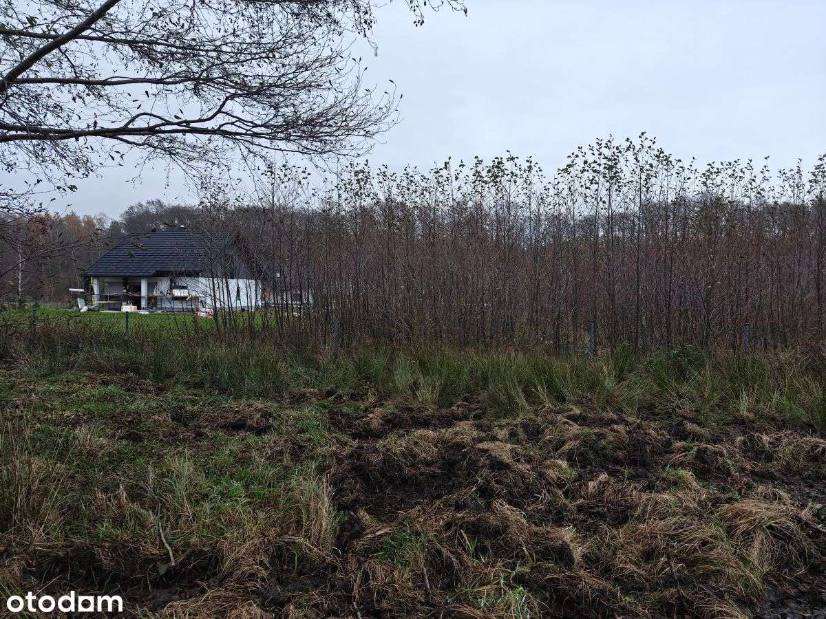 Słoneczna działka budowlana w Sasinie Jarzębinowa-8