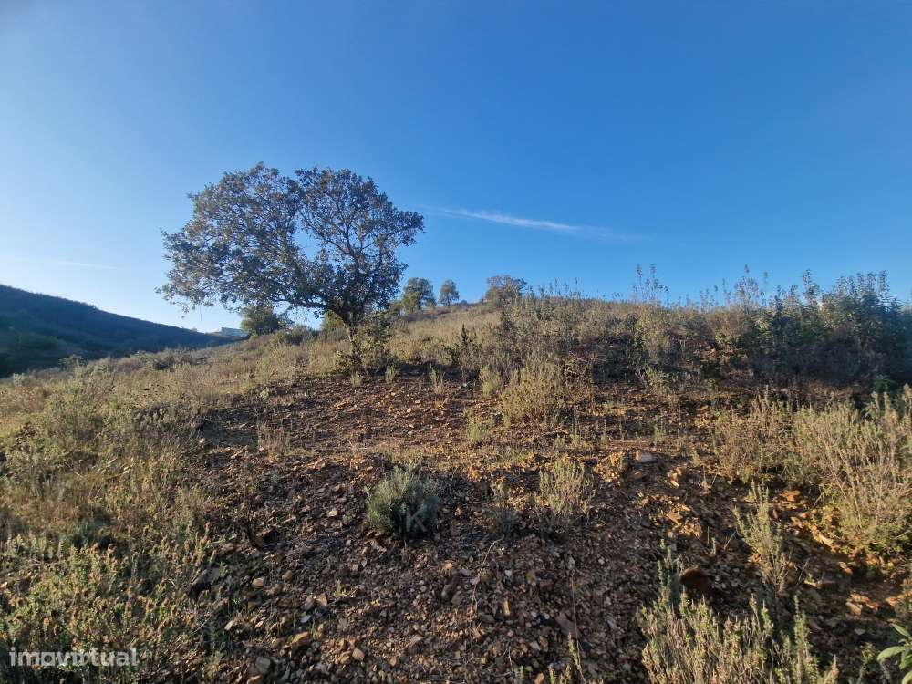 Terreno Rústico - Vale Figueira, Messines-6