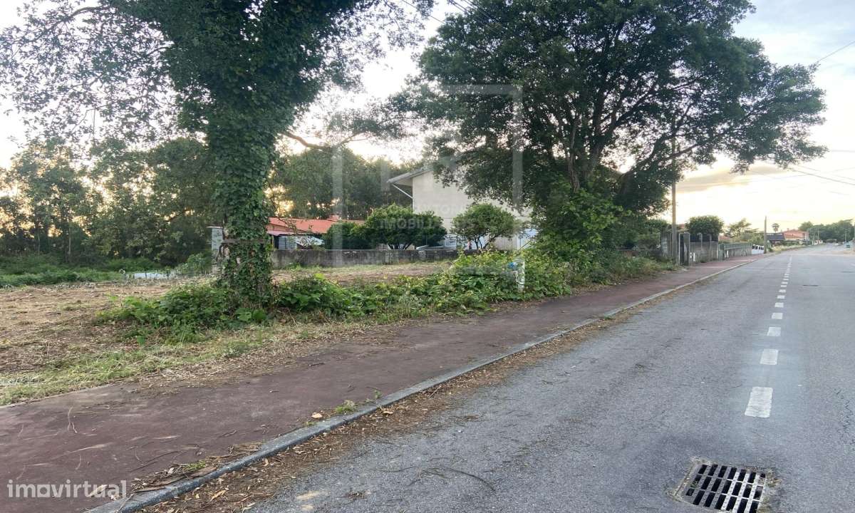 Terreno Rústico  Venda em Sangalhos,Anadia-11