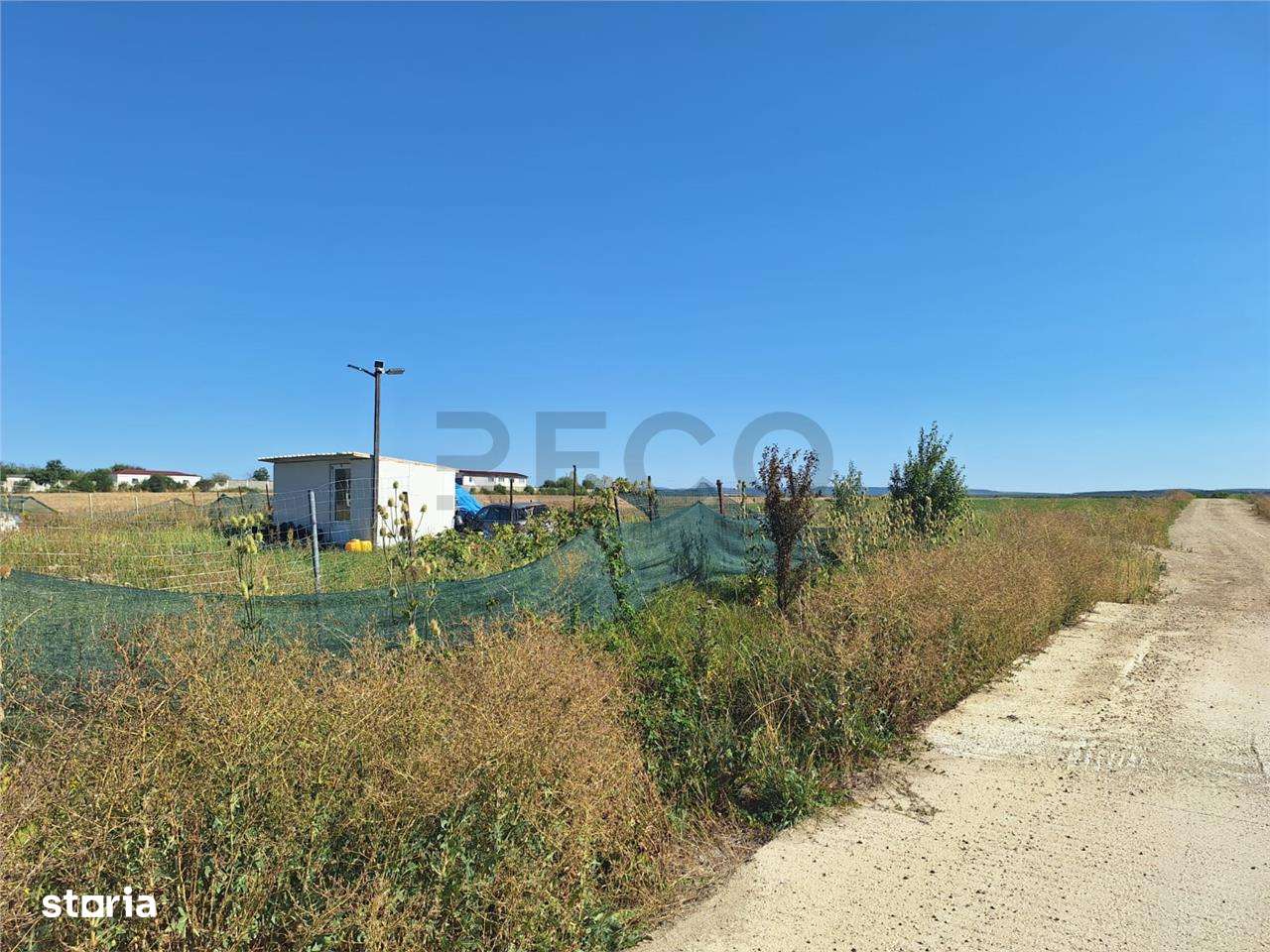 Reco, Teren intravilan Osorhei - Imagine principală: 3/8