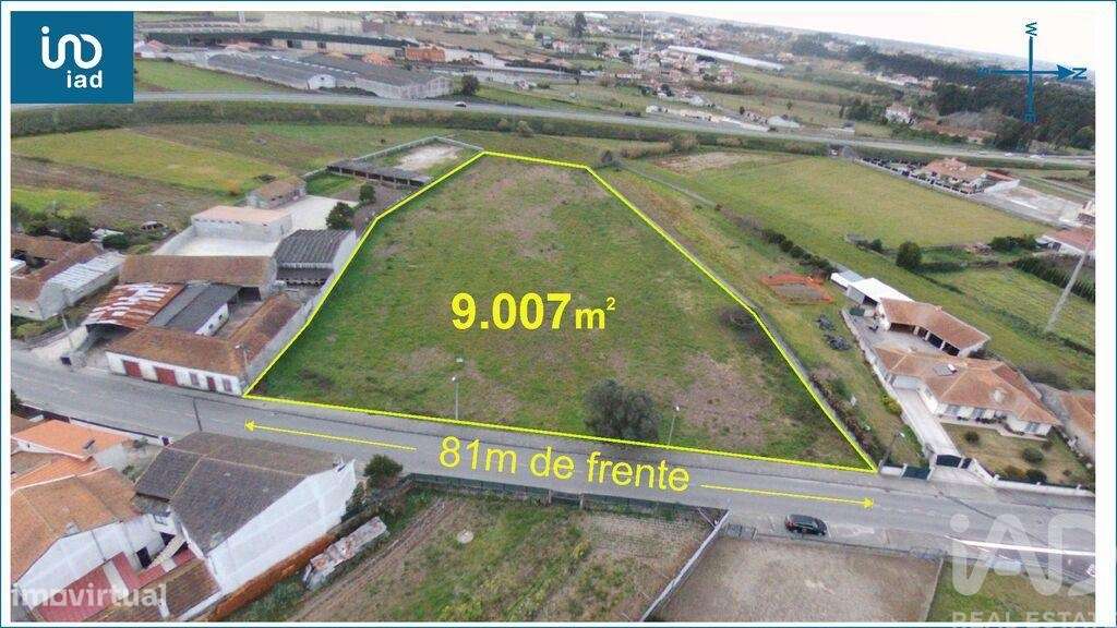 Terreno para construção em Oliveirinha de 9007,00 m2 - Grande imagem: 4/18