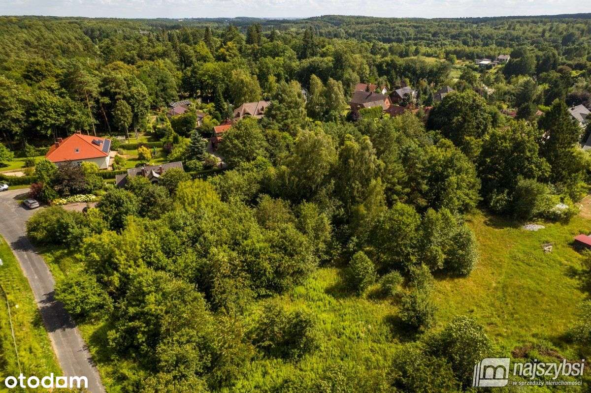 Szczecin - Płonia-Śmierdnica-Jezierzyce 3299m2 - Pełny obrazek: 5/13