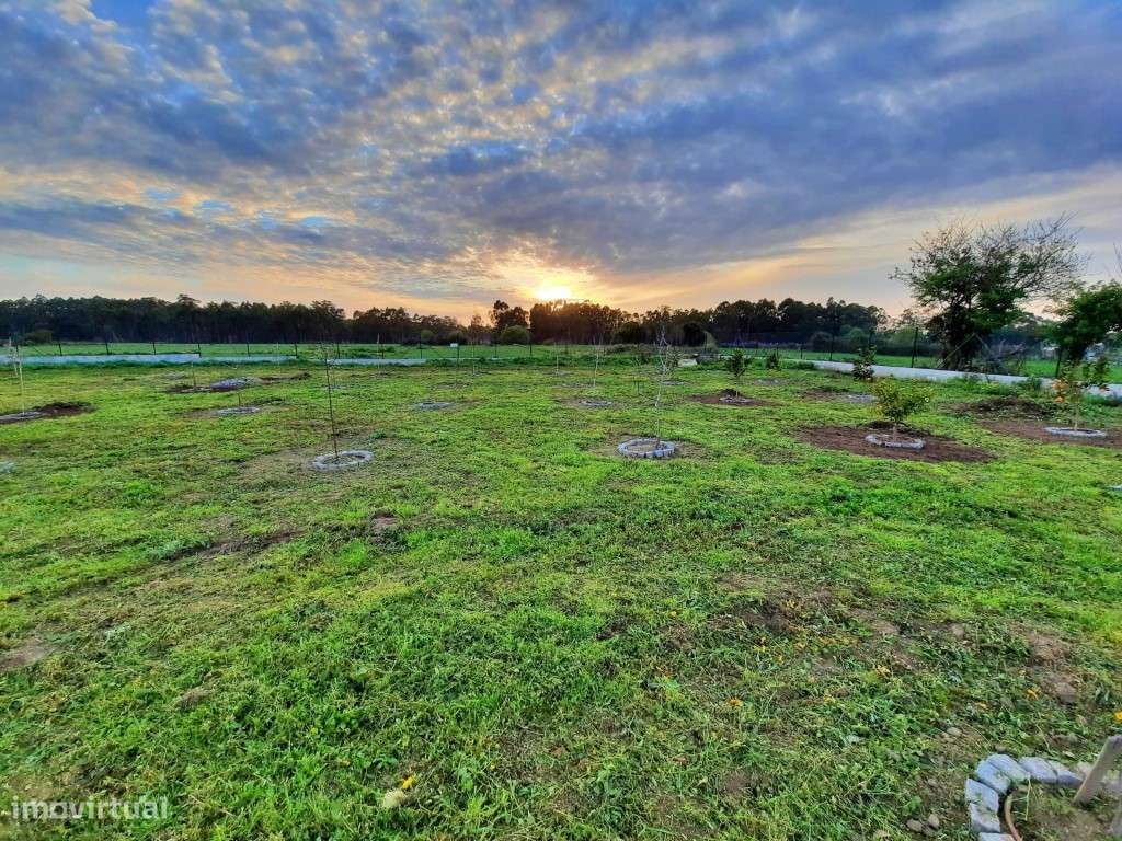 Terreno para 4 moradias em Lavra-14