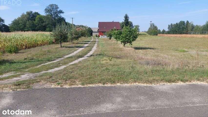 Gospodarstwo 6ha, Babiak, Krukowo-2