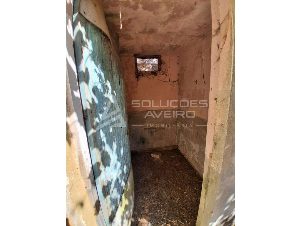 MORADIA T4 PARA REMODELAR EM OLIVEIRINHA A POUCOS MINUTOS DE AVEIRO-8