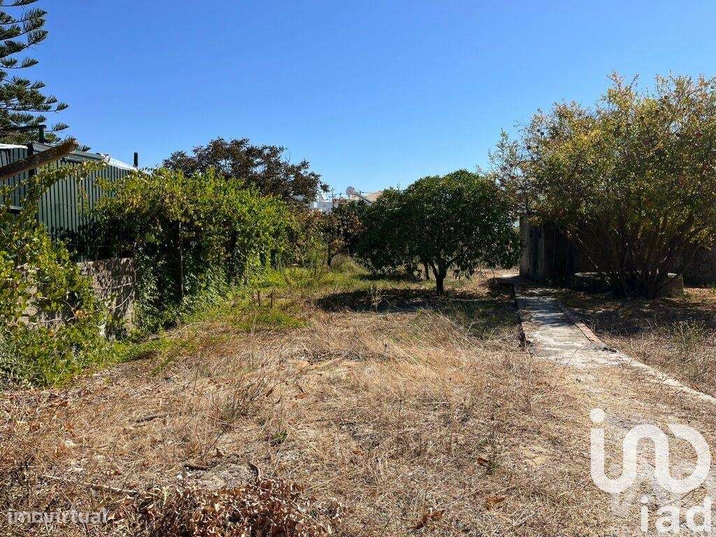 Terreno para construção em Fernão Ferro - Grande imagem: 3/10