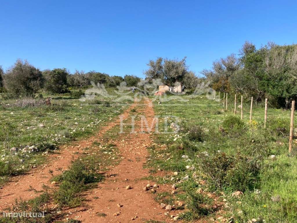 Terreno Rústico com 20701 m2 Próximo à Vila de Mexilhoeira-7