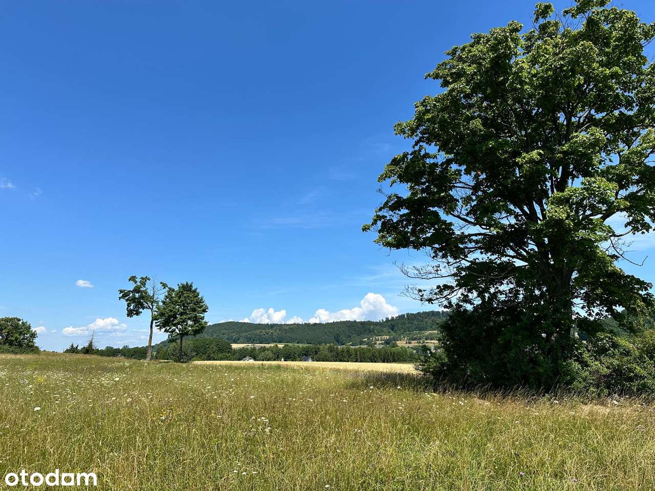 Działka z warunkami zabudowy - Pełny obrazek: 4/10