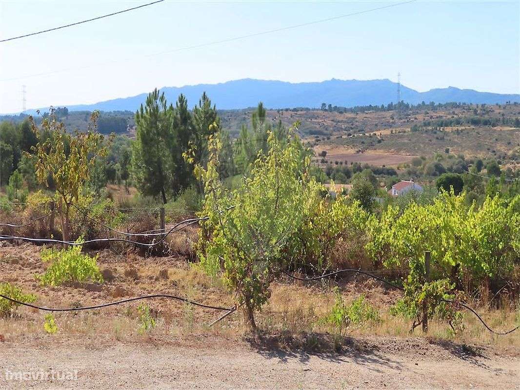 Moradia T3 para venda-44