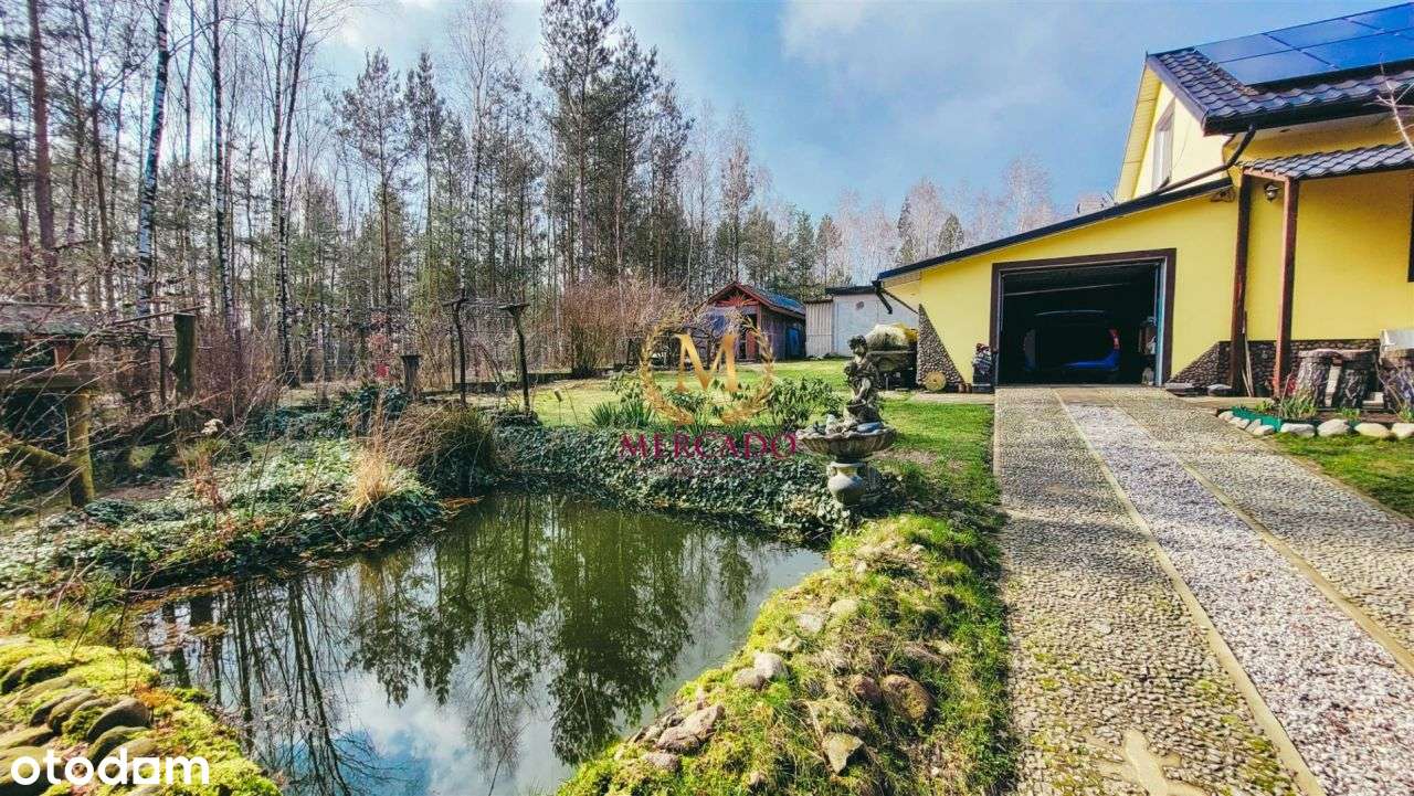 Klimatyczny dom przy lesie, nowy piec fotowoltaika - Pełny obrazek: 4/20