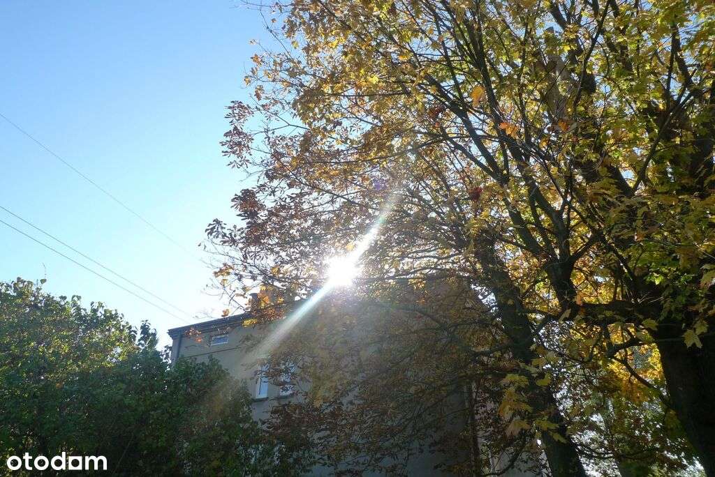 dom w mieście z ogrodem lub działka inwestycyjna!-6