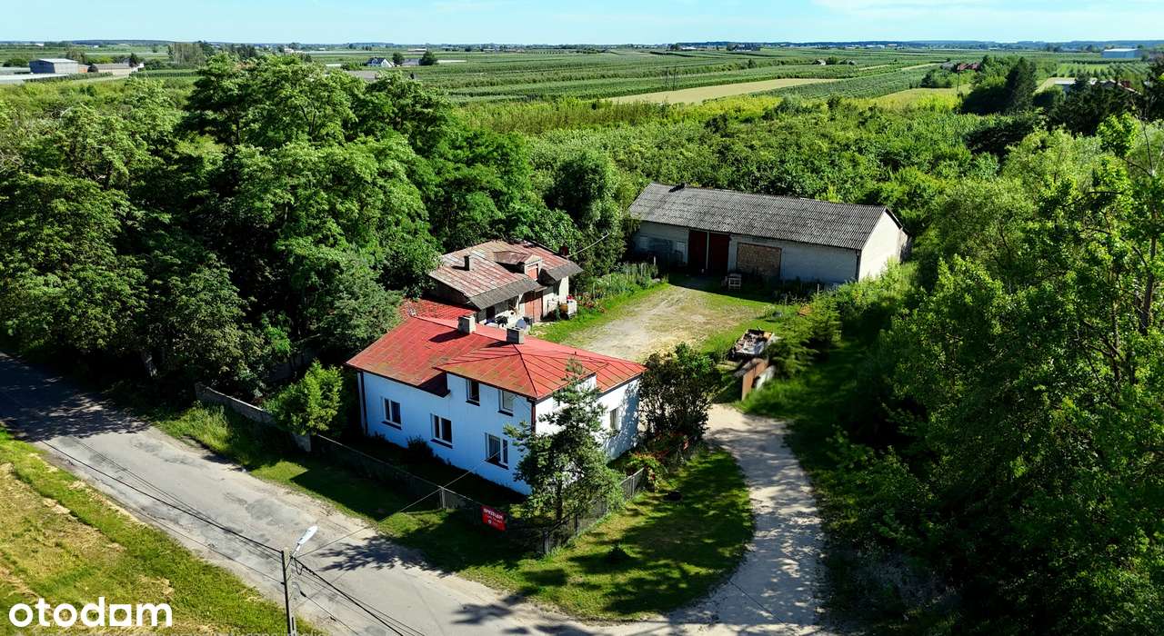 Siedlisko z domem do zamieszkania | działka 6600 m2 | 20 min od Grójca