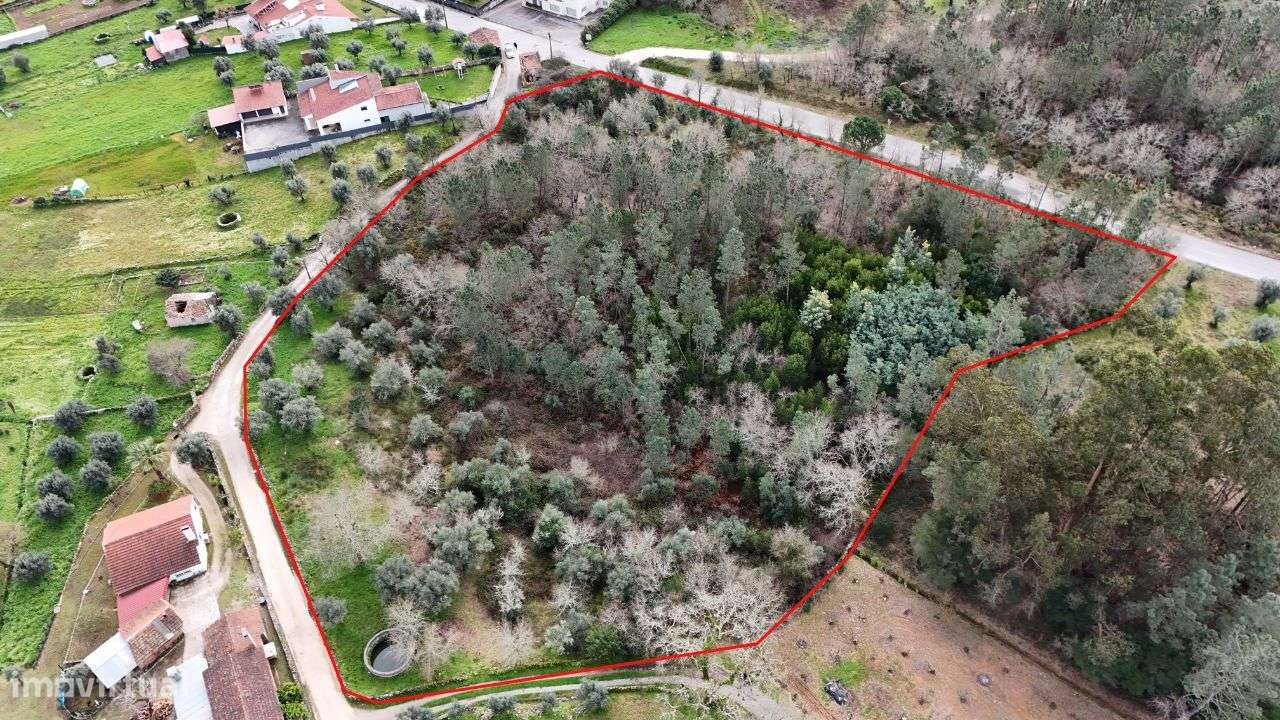 Terreno para construção com uma área de 14500 m2 - Grande imagem: 3/6