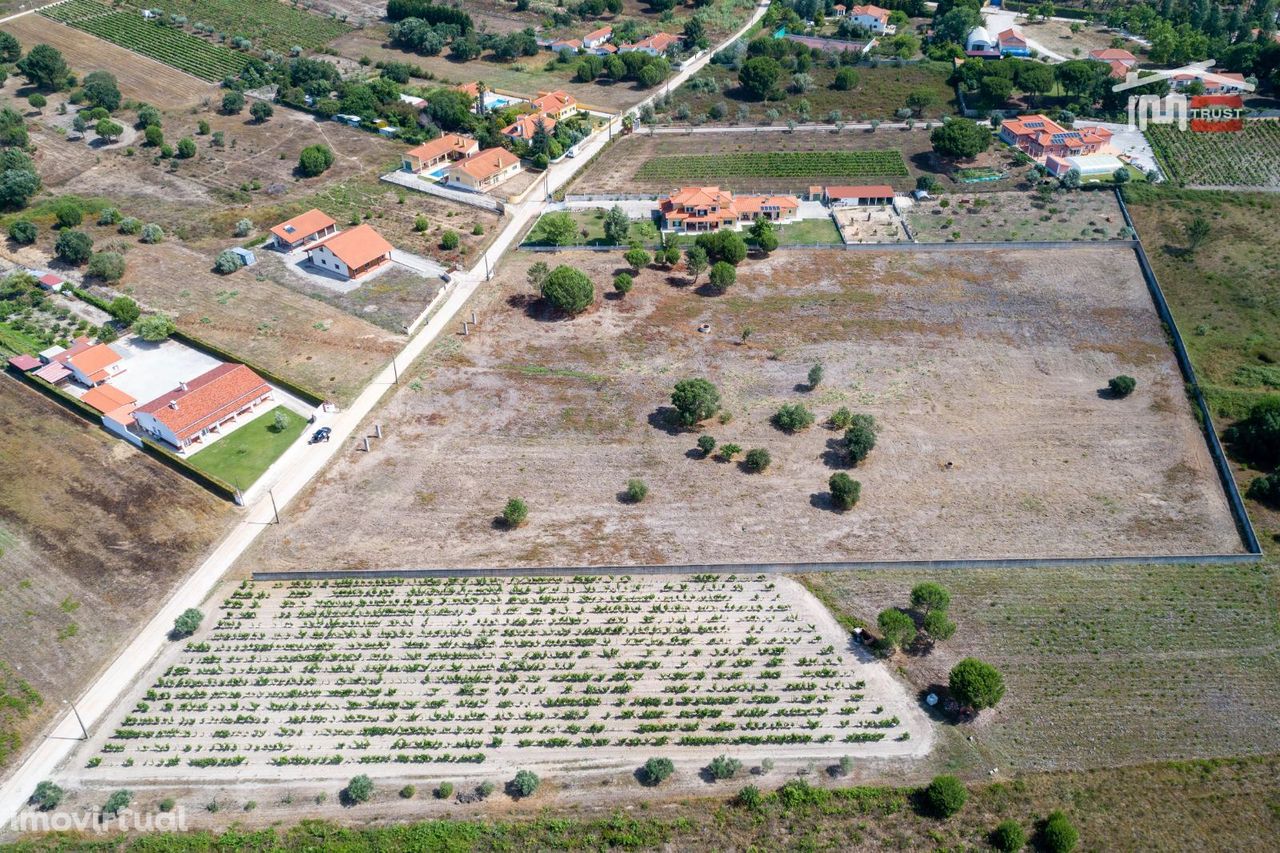 Terreno misto, para venda, Santarém - Vale de Santarem