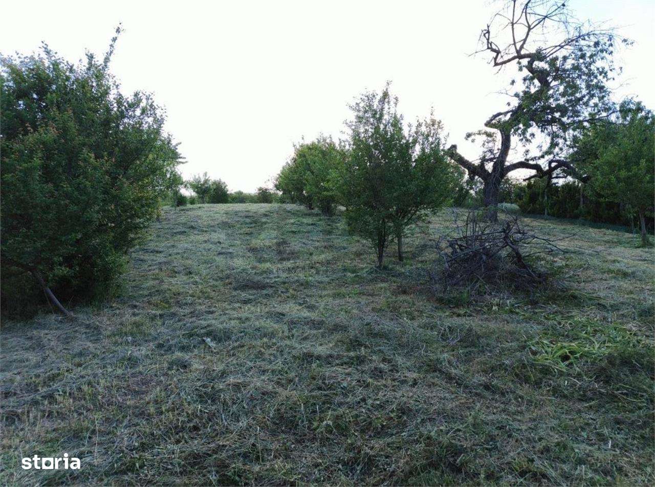 RECO Teren intravilan zona Podgoria - Imagine principală: 4/4