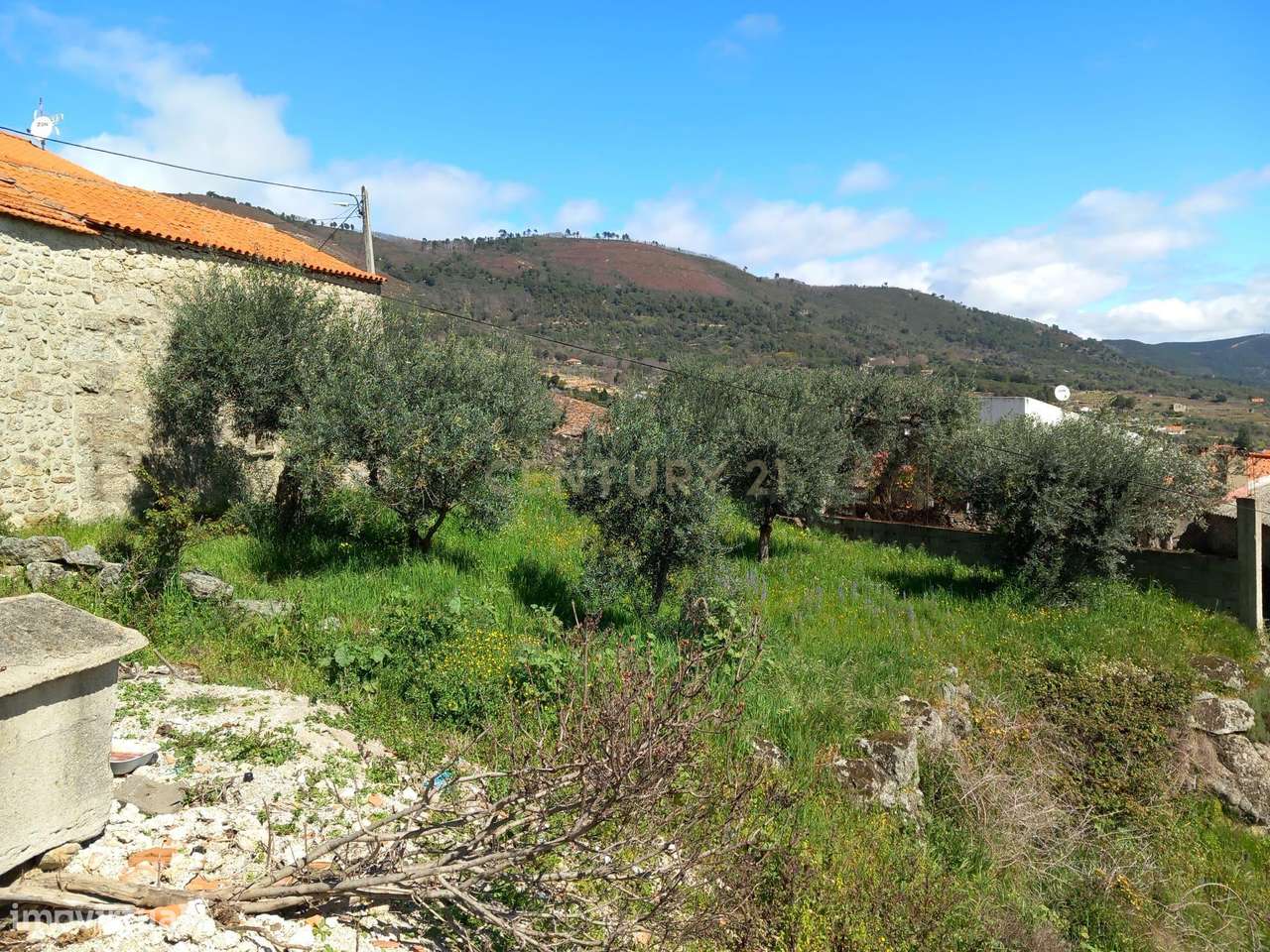 Terreno Rustico Alpedrinha - Grande imagem: 2/6
