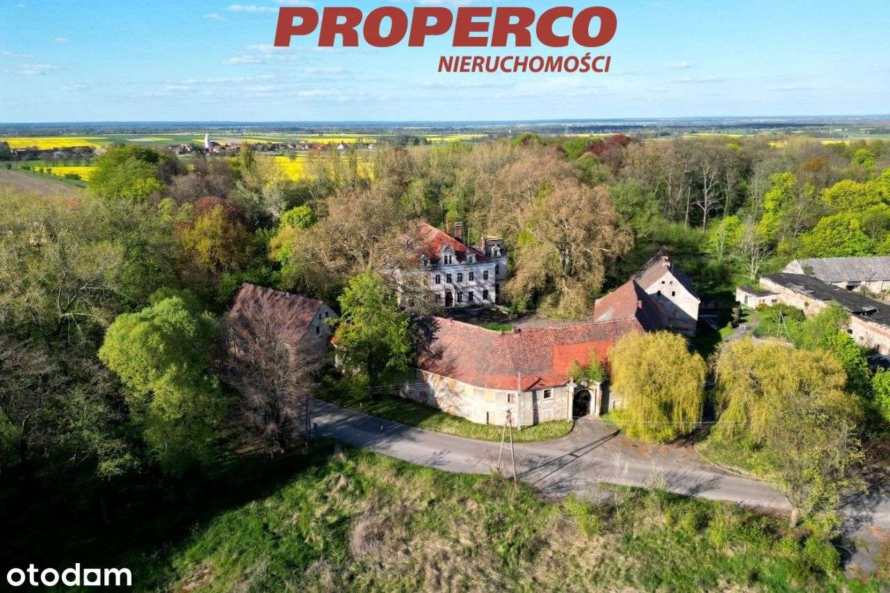 XVII-wieczny pałac, 300-letni park, działka 28ha - Pełny obrazek: 5/9