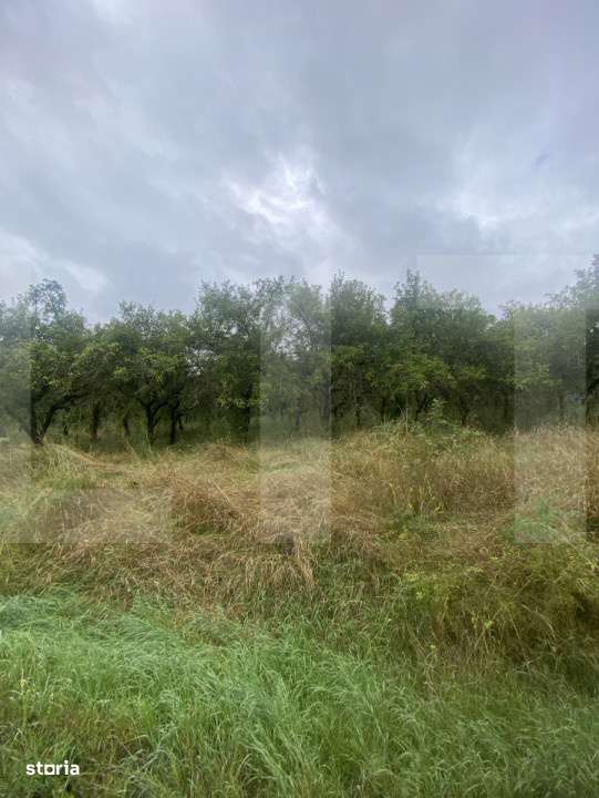 Teren cu potential rezidential – Simeria, Sfantu Gheorghe - Imagine principală: 4/4