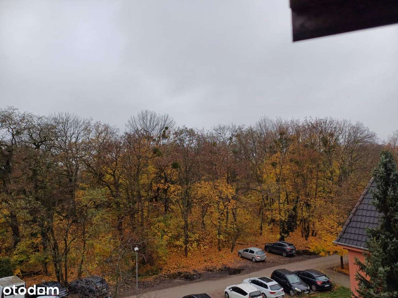 Sprzedam klimatyczne mieszk. mansardowe 2 pok. na Starym Grunwaldzie-6