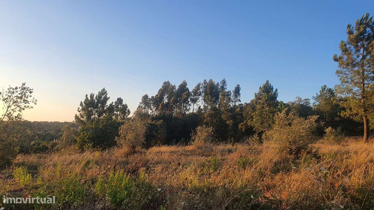 Terreno para Moradia com vista para a Serra D'Aire e Candeeiros-5