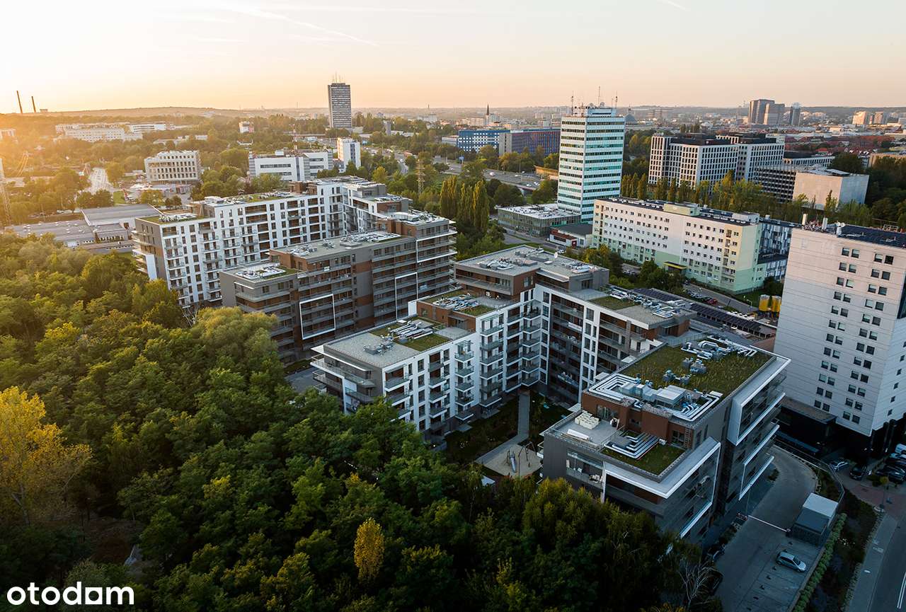 Francuska Park VII-0