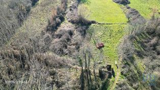 Terreno Agrícola em Espinhal - Grande imagem: 3/23