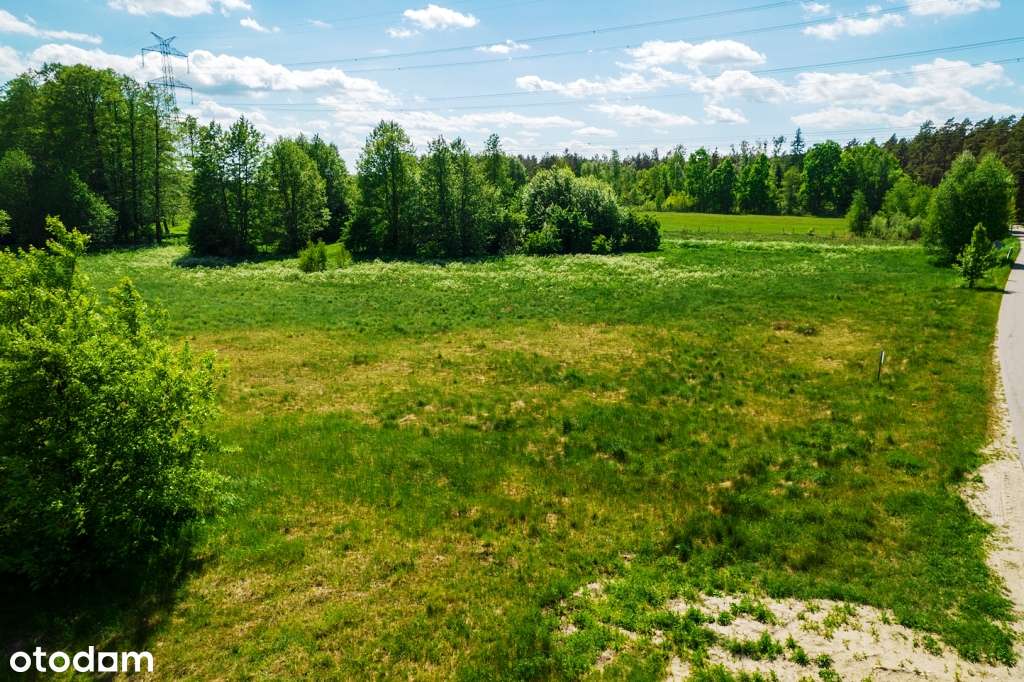 Działki budowlane w otoczeniu lasów i łąk - sielskie klimaty-16