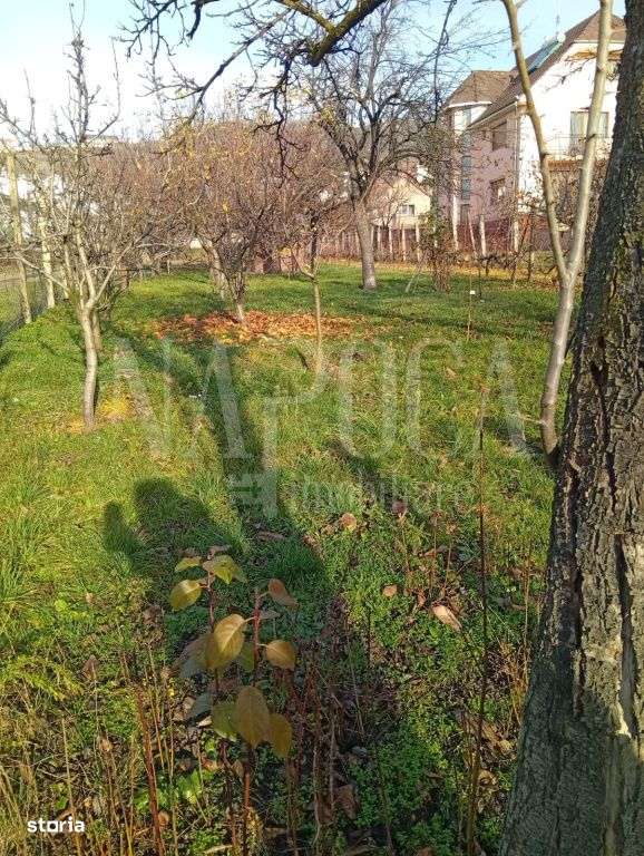 Teren intravilan pentru constructii de vanzare in Podgoria Oradea, Or - Imagine principală: 2/4